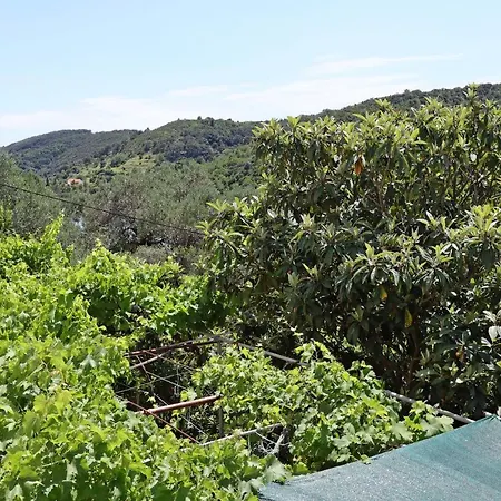 By The Sea - Donja, Rab - 15997 Supetarska Draga