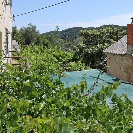 Apartment By The Sea - Donja, Rab - 15997